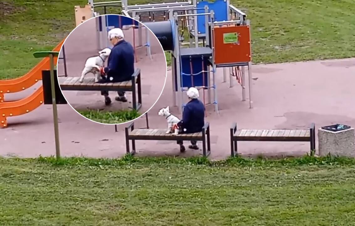 Plinta šiurpą keliantis vaizdo įrašas: kieme užfiksavo zoofilą?