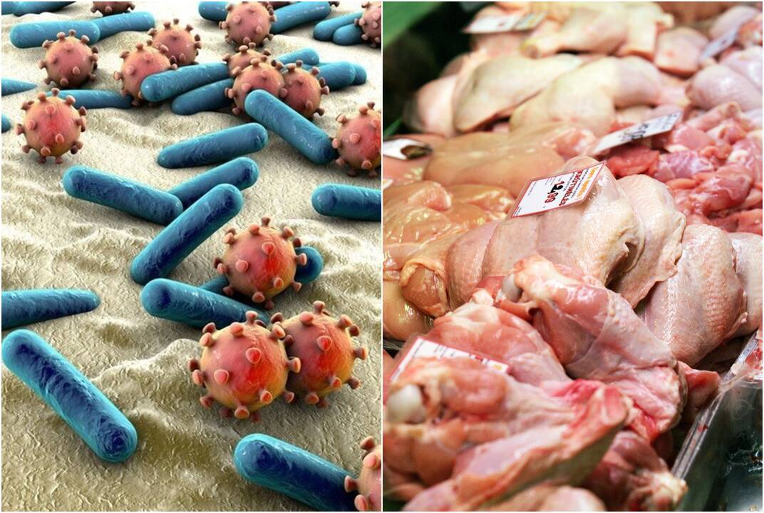 Situacija: dažniausiai paukštieną uždraudžiama tiekti į rinką dėl joje aptinkamos mikrobinės taršos salmonelėmis.