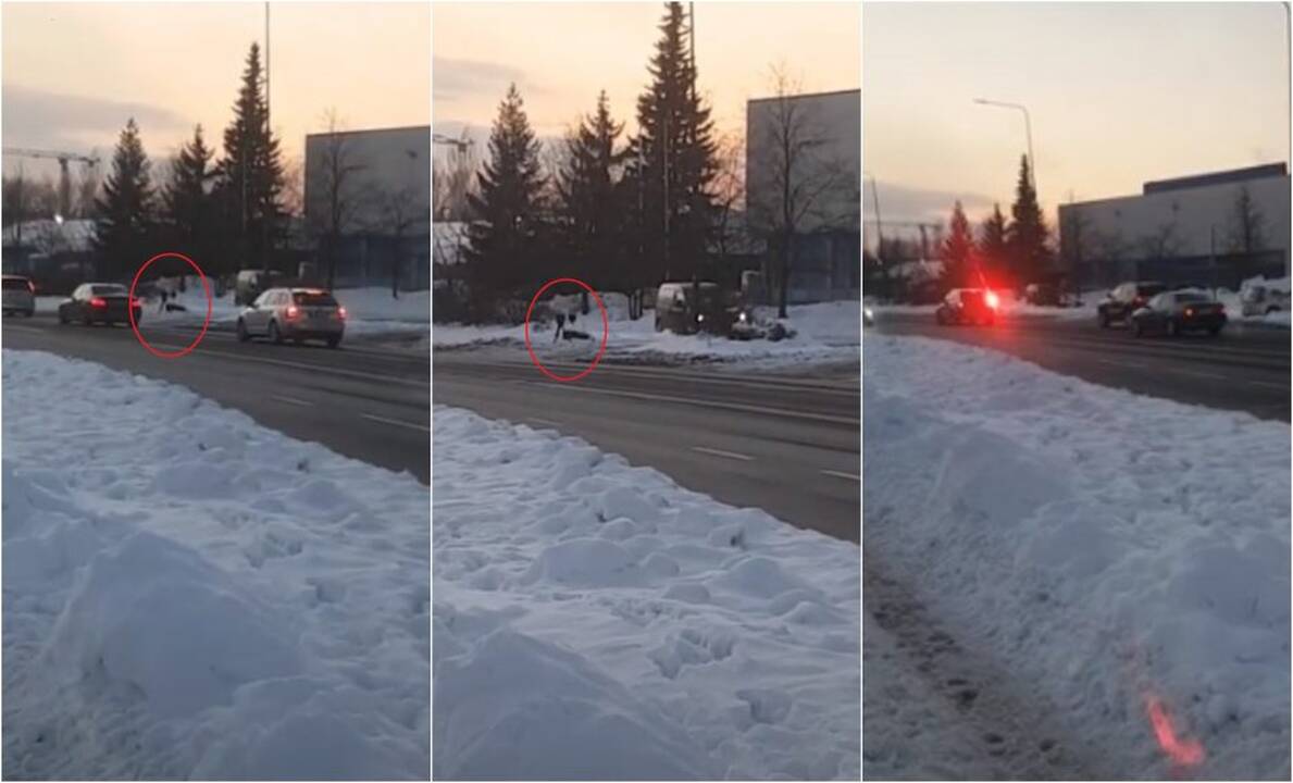 Pasipiktinimo sulaukė trikojis Šilainiuose, nors kai kurie vairuotojai ten lekia lyg autostradoje