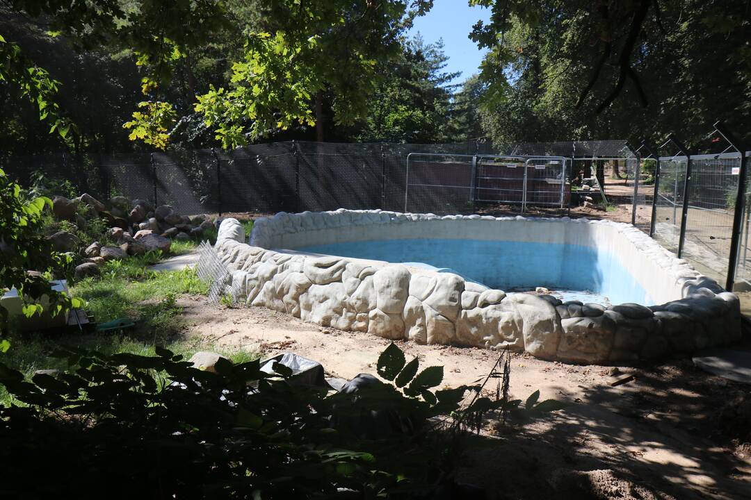 Zoologijos sodo renovacijos užkulisiai