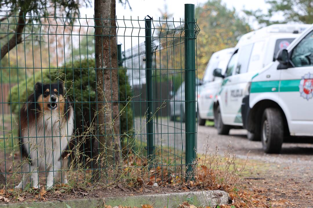 Sumaištis Amaliuose: pabėgo nuteistasis