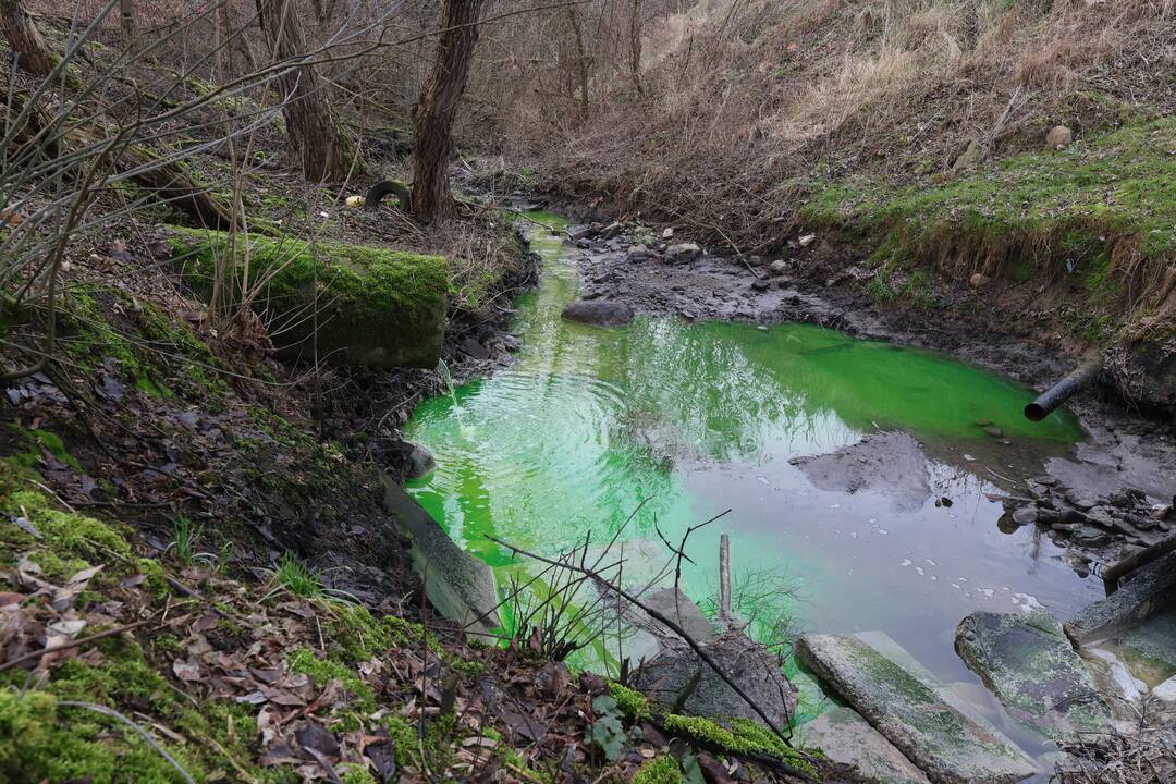 Teršiamas upelis Kauno rajone