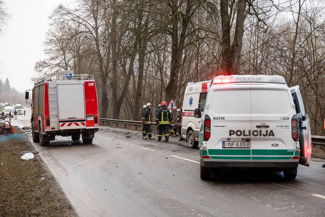 Netoli Kauno – siaubinga akistata su miškovežiu