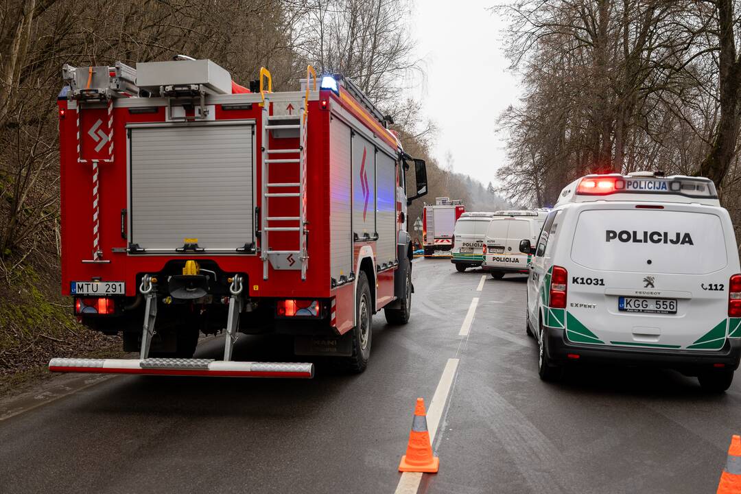 Netoli Kauno – siaubinga akistata su miškovežiu