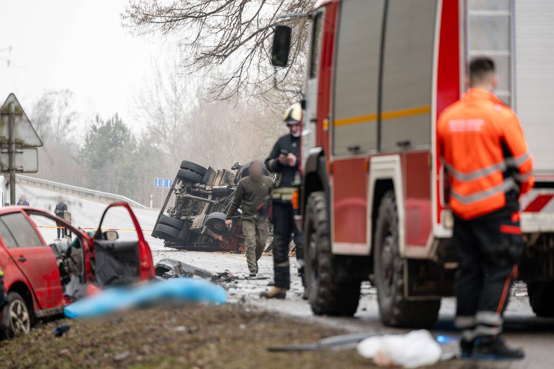 Netoli Kauno – siaubinga akistata su miškovežiu