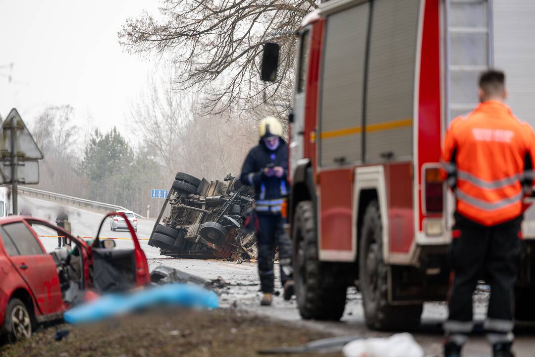 Netoli Kauno – siaubinga akistata su miškovežiu