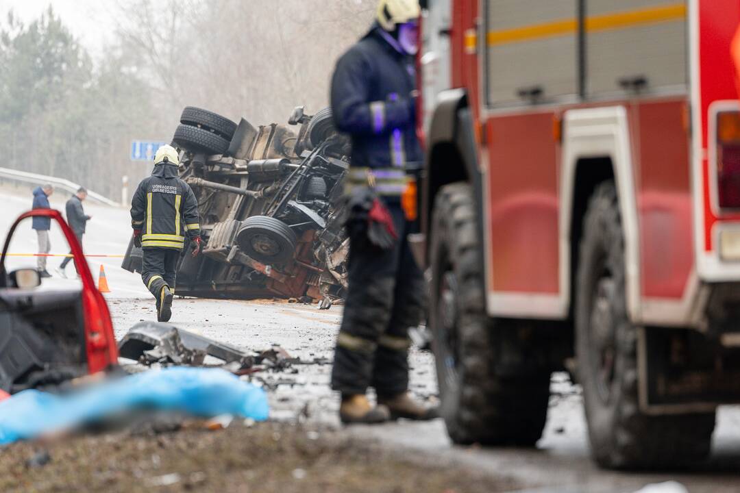 Netoli Kauno – siaubinga akistata su miškovežiu