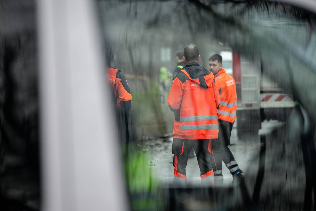 Netoli Kauno – siaubinga akistata su miškovežiu