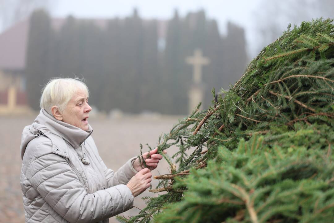 Miškininkai vėl pakvietė į namus parsinešti kvepiančias Kalėdas