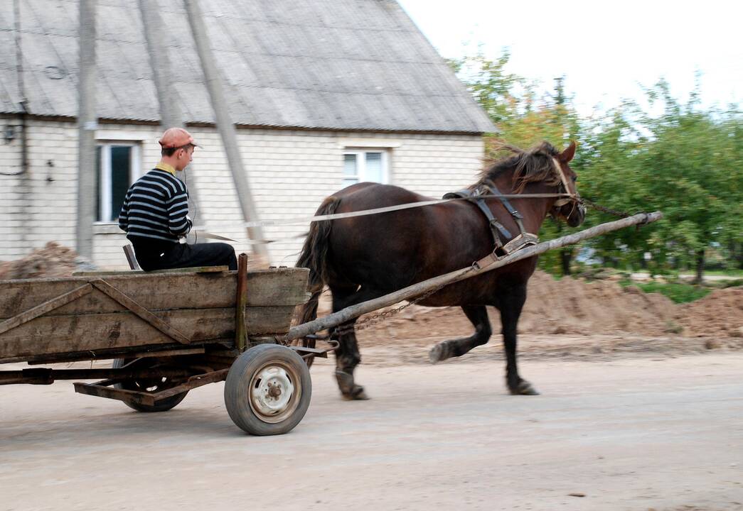 Policijai įkliuvo ir neblaivus vadeliotojas