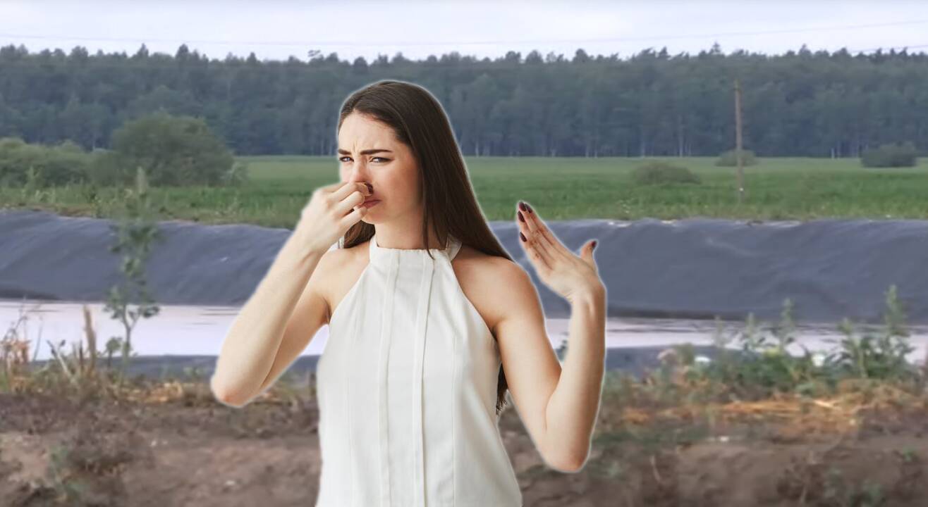 Smarvė kelia ne tik šleikštulį, bet ir įtarimus: gyventojai svarsto apie išsikeldinimą