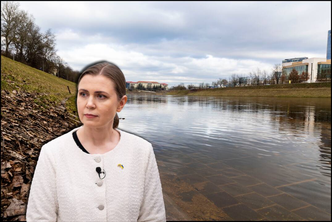 Dovilė Šakalienė