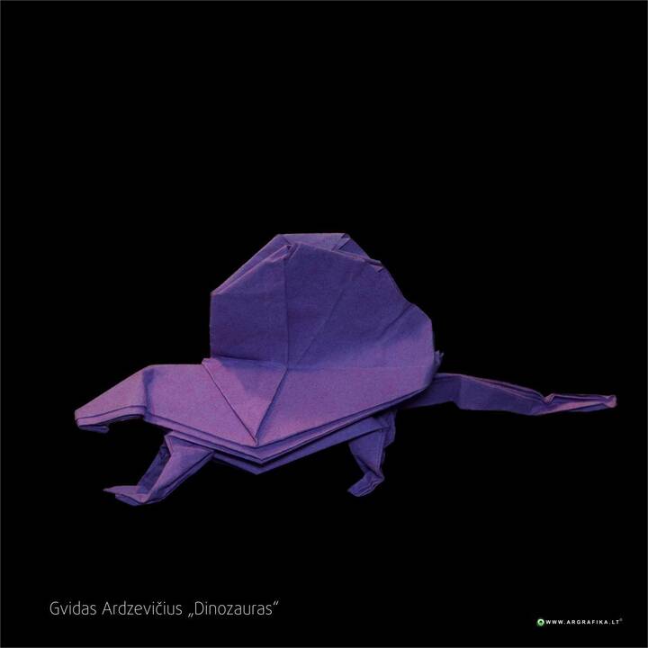 Pomėgis: G.Ardzevičius lankstyti origamius išmoko be suaugusiųjų pagalbos.