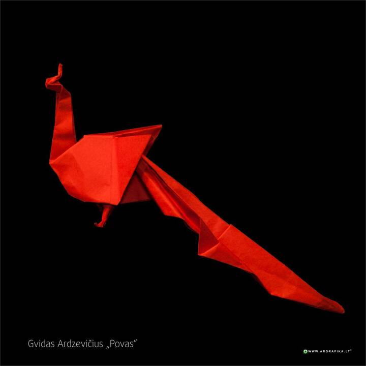 Pomėgis: G.Ardzevičius lankstyti origamius išmoko be suaugusiųjų pagalbos.