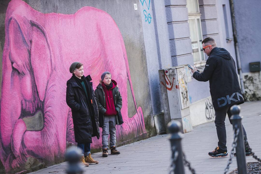 Gurmanams: kino mėgėjų laukia atsinaujinusi „Romuva“.
