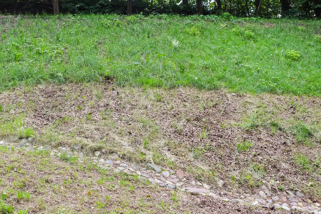 Plika: nupjovus žolę, ant Kauko laiptų šlaito neliko jokios žalumos, o vietoj žolės atsivėrė šlaitą laikančiosios konstrukcijos.