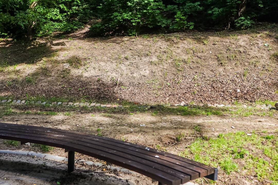 Plika: nupjovus žolę, ant Kauko laiptų šlaito neliko jokios žalumos, o vietoj žolės atsivėrė šlaitą laikančiosios konstrukcijos.