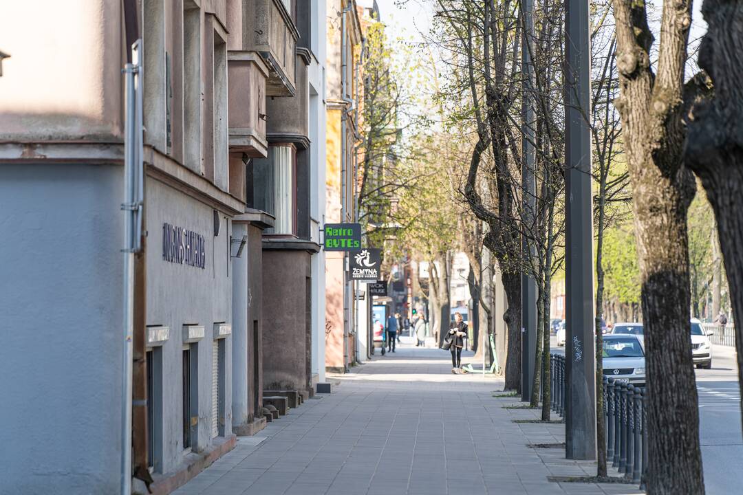Kasdienybė: miesto gyvenimo rutina kartais nustelbia K. Donelaičio gatvės unikalumą ir ji gali pasirodyti tarsi mažai kuo išsiskirianti. 