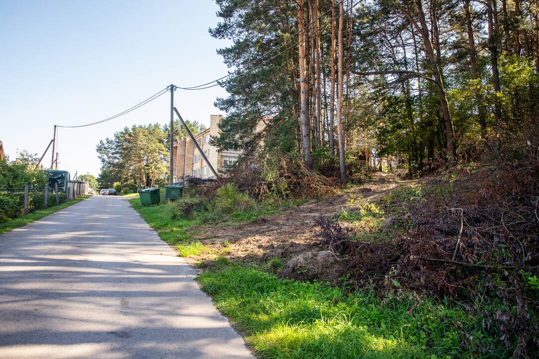 Padariniai: po beatodairiško medžių kirtimo prokuratūra inicijavo tyrimą dėl galimo viešojo intereso pažeidimo.