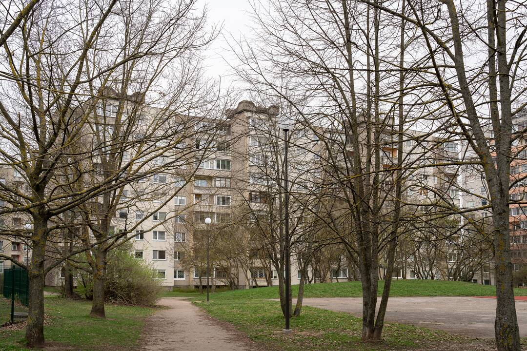 Įsitikinusi: 226-osios bendrijos veiklą kritikuojančius gyventojus atstovaujanti I. Bagdonavičienė tvirtino matanti nelegalios veiklos požymių.