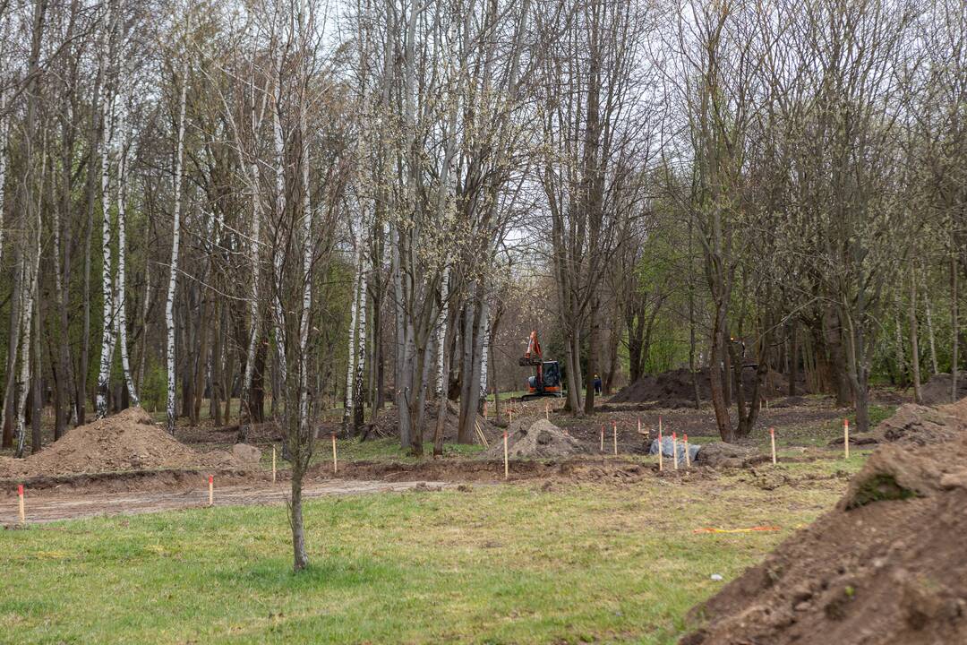 Darbai: Naujakurių parke bus įrengti mediniai takai, atsiras mažoji infrastruktūra.