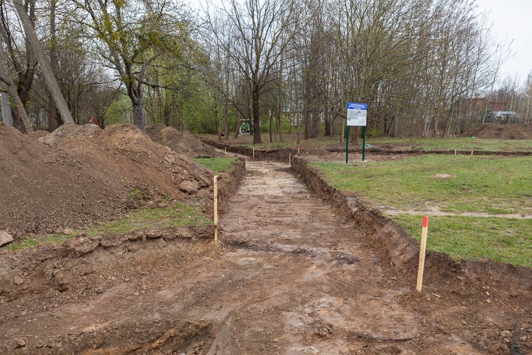 Darbai: Naujakurių parke bus įrengti mediniai takai, atsiras mažoji infrastruktūra.