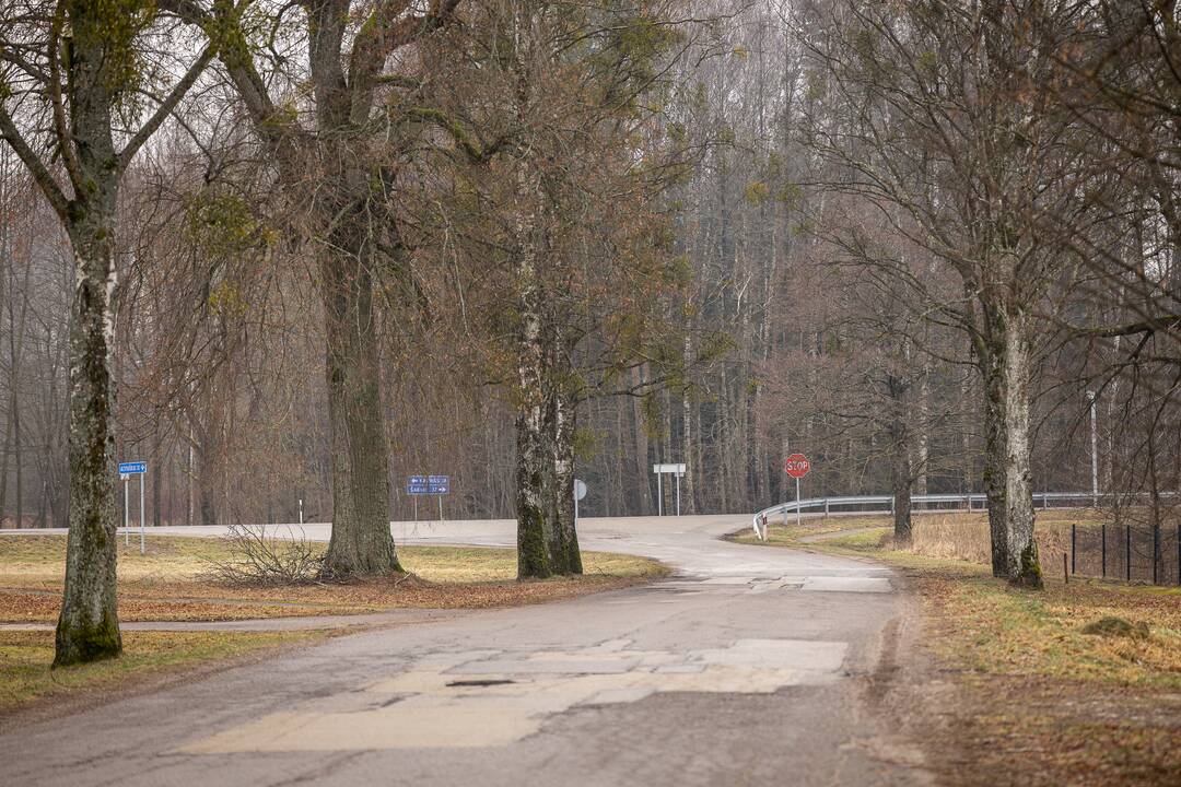 Tragiškos kaktomušos Zapyškyje vieta