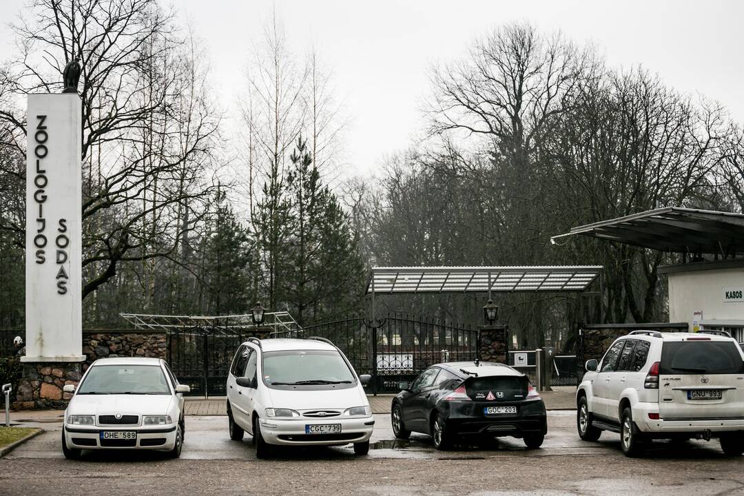 Vieta: jei bus įvykdyta rekonstrukcija, beždžionės bus perkeltos kitur.