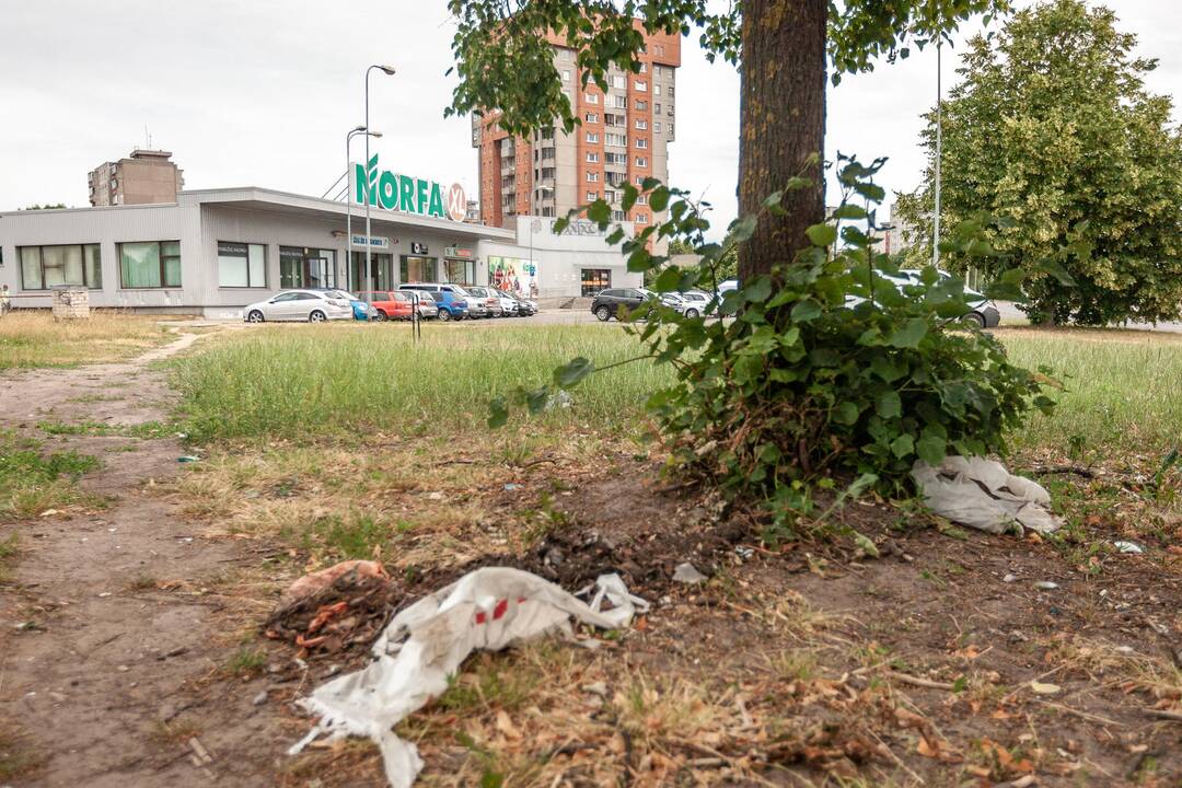 Lemtis: provokacijai pasidavusi žudikų auka pateko į spąstus šiame Kalniečių parkelyje.