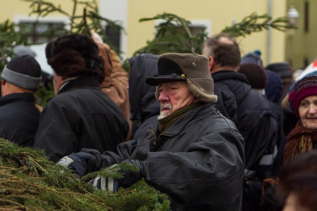 Akciją „Parsinešk Kalėdas į savo namus“ Kaune