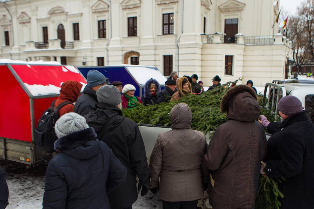 Akciją „Parsinešk Kalėdas į savo namus“ Kaune
