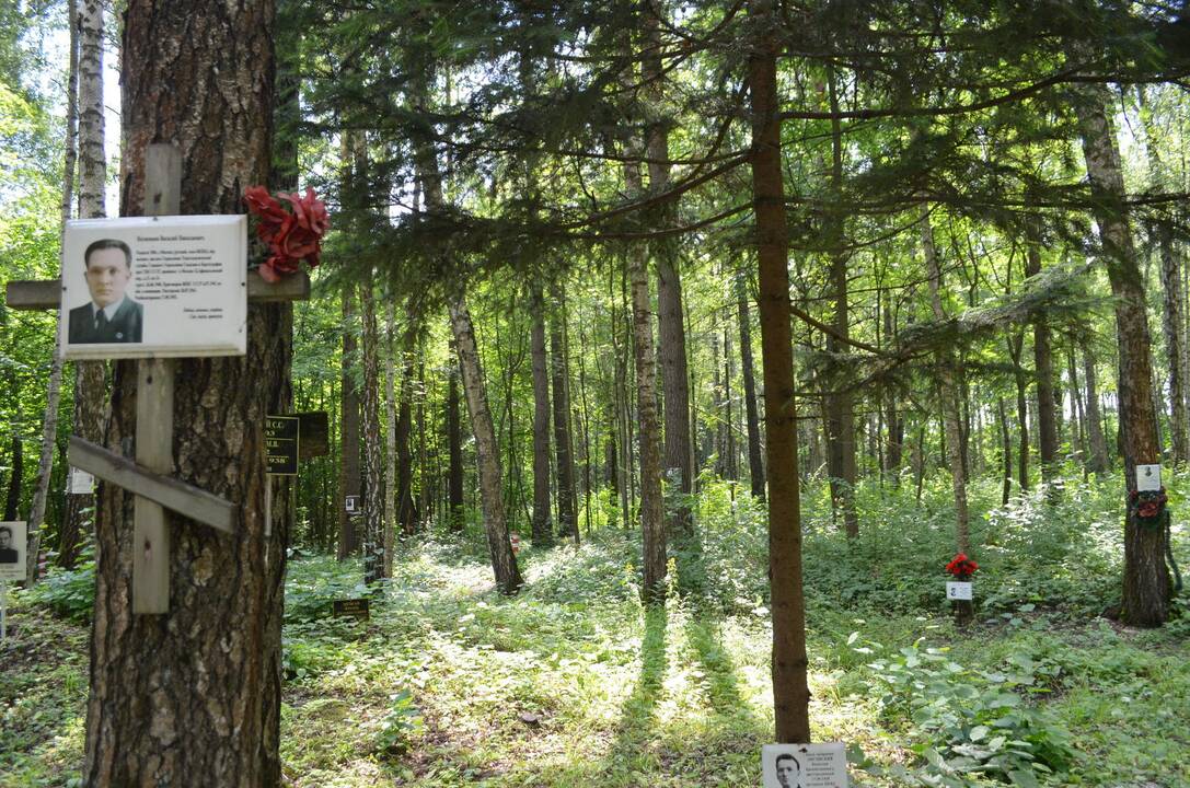 Komanda: "Traukinio į mirtį" kūrybinė grupė: (iš kairės) projekto vadovas R.Narvydas, scenarijaus bendraautorė V.Skučaitė, operatorius V.Kubilius, režisierius V.Kubilius.