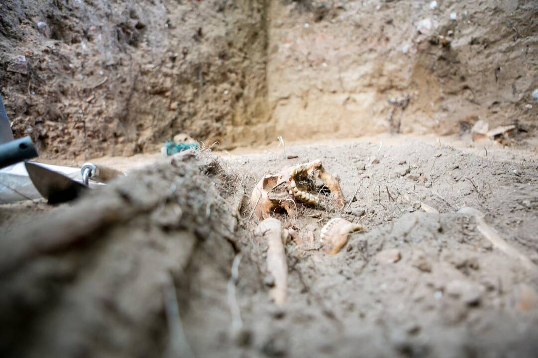 Archeologiniai kasinėjimai Muzikinio teatro sodelyje 