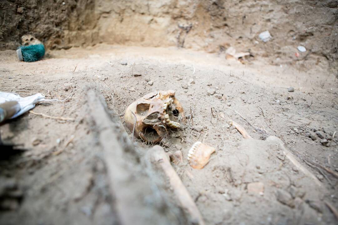 Archeologiniai kasinėjimai Muzikinio teatro sodelyje 