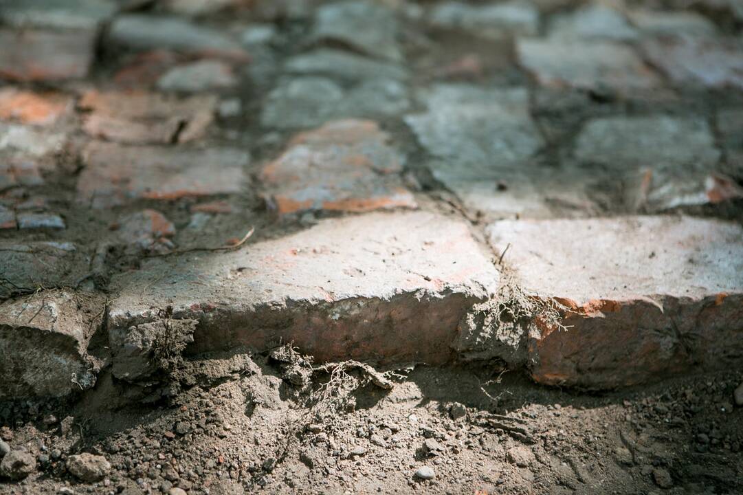 Archeologiniai kasinėjimai Muzikinio teatro sodelyje 