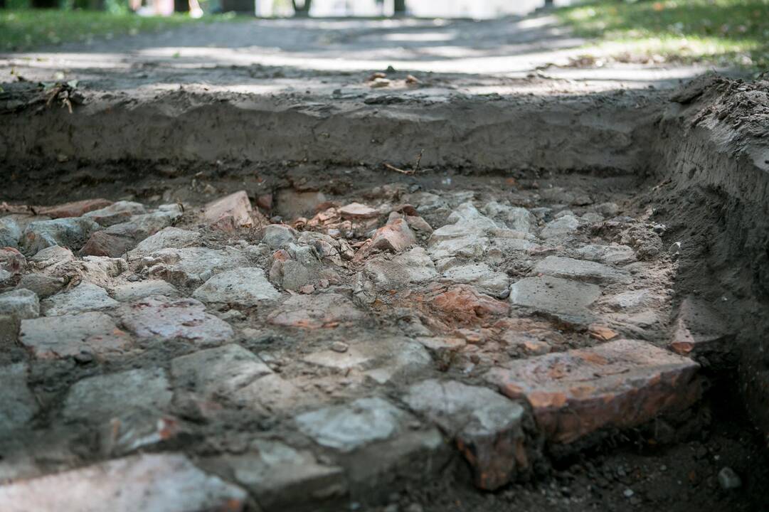 Archeologiniai kasinėjimai Muzikinio teatro sodelyje 