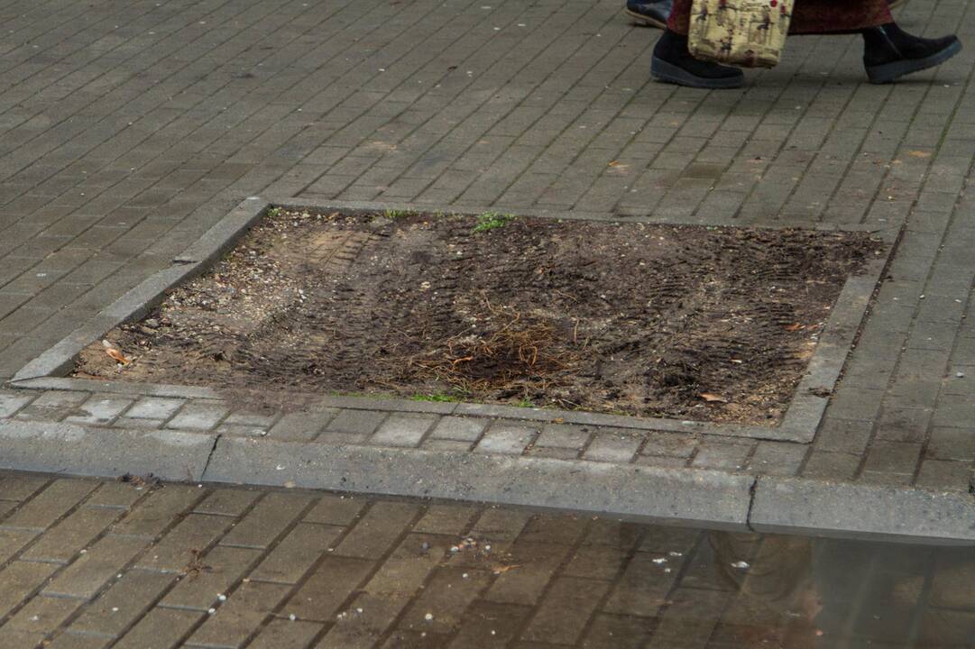 Kenčia: Vasario 16-osios gatvės gyventojai pasipiktino automobilių parkavimo ypatumais.