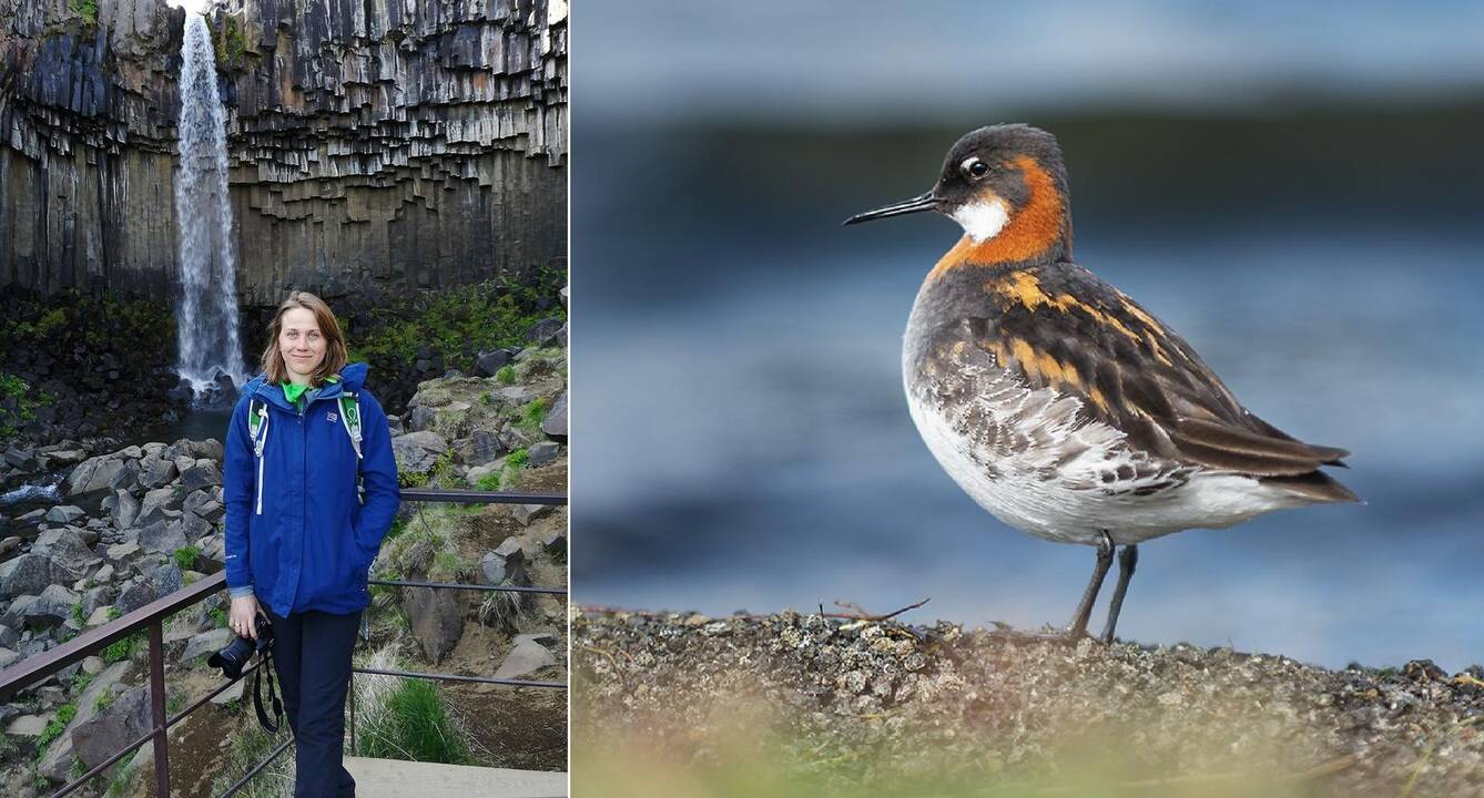Menas: B.Stukė vis dažniau rankose laiko profesionalų fotoaparatą.