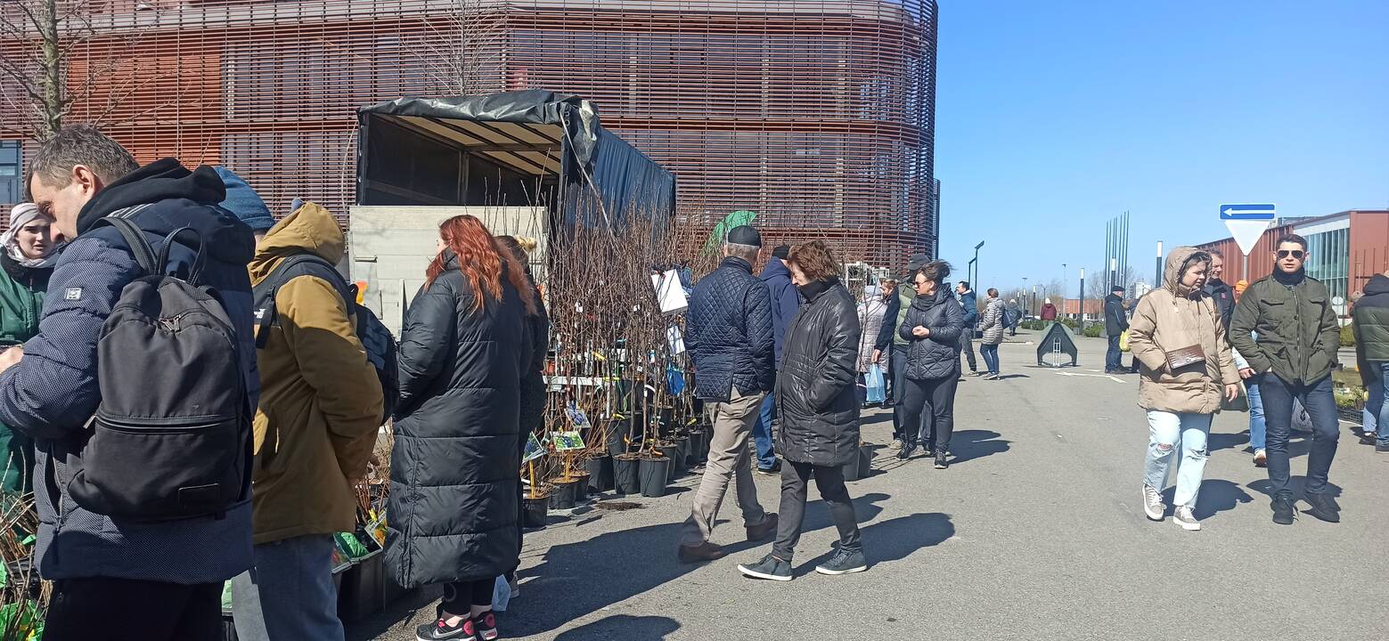 Uostamiestyje – pavasarinės mugės