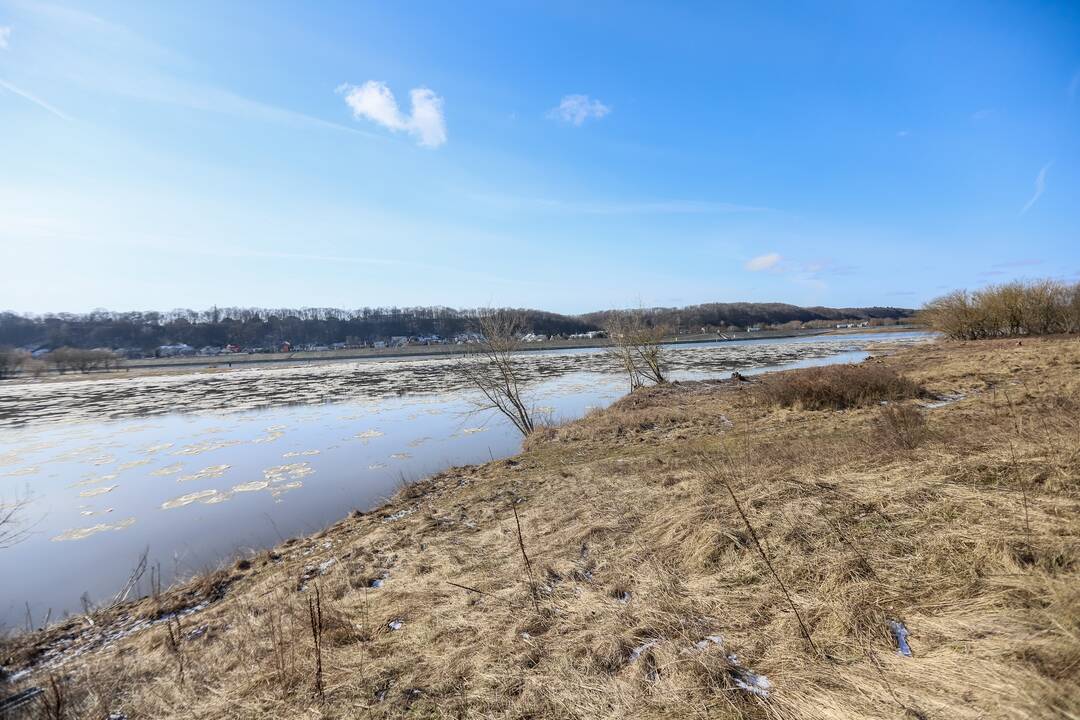 Į Nerį Vilijampolėje bėgo teršalai