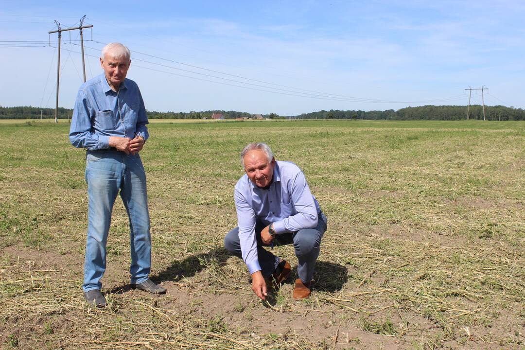 Išimtis: A.Galminas (dešinėje) su sūnumi Antanu pirmą kartą per 25 ūkininkavimo metus vasarą karves paliko tvarte.