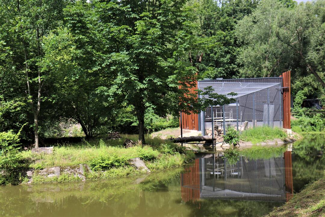 Zoologijos sodo renovacijos užkulisiai