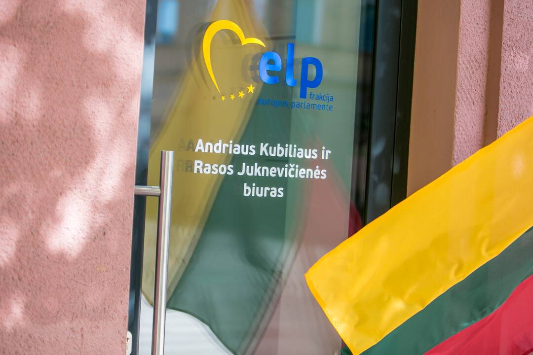 Priemonės: A.Kubilius akcentavo, kad pinigus šiuo metu reikia ne šiaip dalyti, o kurti efektyvias pagalbos programas ir planus.