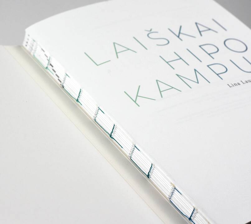 Lūžis: L.L.Švedaitė prisipažįsta, kad akistata su mirtimi pakeitė jos gyvenimą ir mąstymą, išmokė džiaugtis tuo, ką turi.