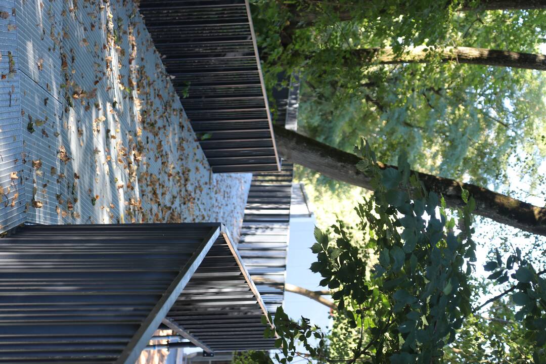 Zoologijos sodo renovacijos užkulisiai