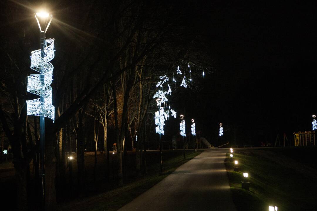 Kaunas pradeda puoštis artėjančioms šventėms