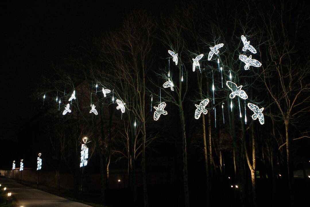 Kaunas pradeda puoštis artėjančioms šventėms