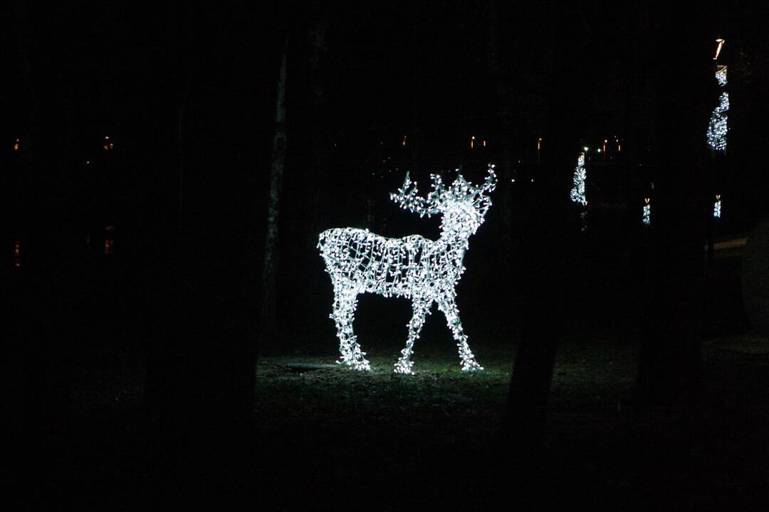 Kaunas pradeda puoštis artėjančioms šventėms
