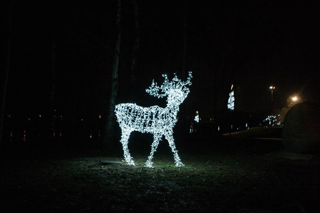 Kaunas pradeda puoštis artėjančioms šventėms
