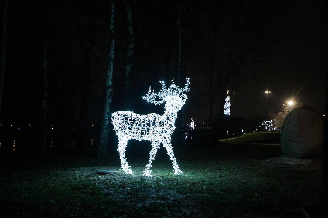 Kaunas pradeda puoštis artėjančioms šventėms